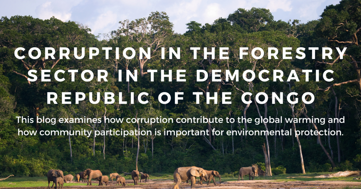 Corruption fuels illegal logging in Democratic Republic of the Congo.